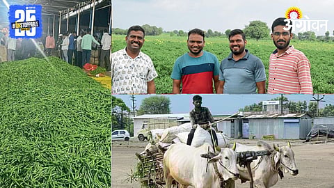 Agriculture Market