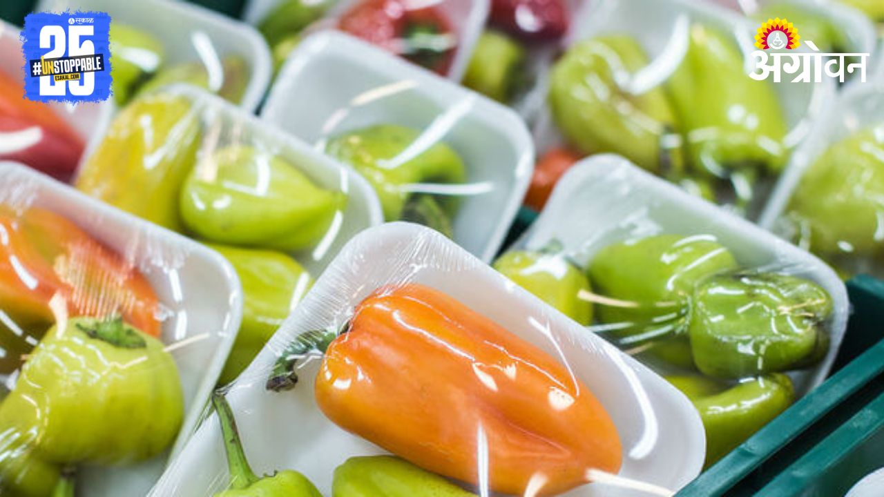 Fruit Packaging Technology