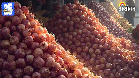 Onion 