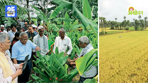 Sustainable Farming