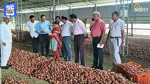 Onion Market 