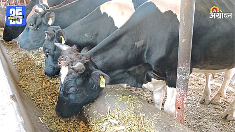 Animal Husbandry