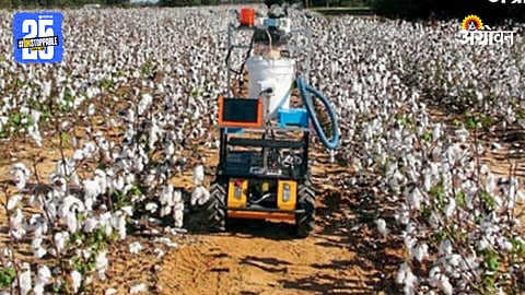 Cotton Harvesting