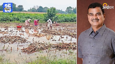 Crop Damage