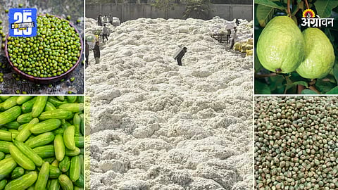 Agriculture Products