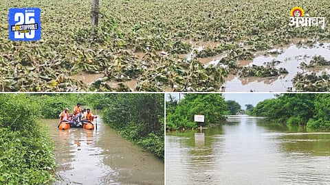 Heavy Rain Agriculture Damage
