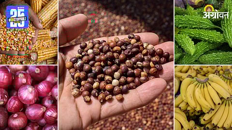 Agriculture Market Products