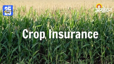 Crop Insurance