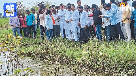Agriculture Inspection