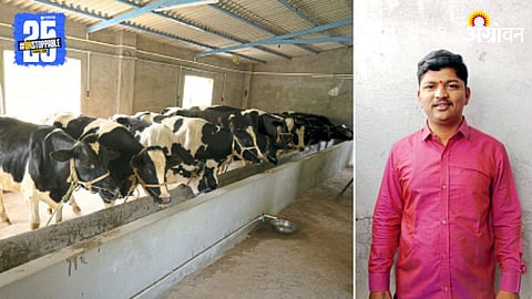 Dairy Farming