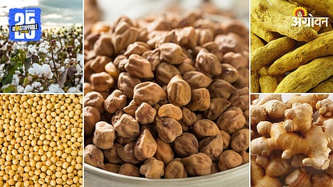 Agriculture Market Products