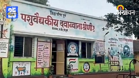 Veterinary Clinic