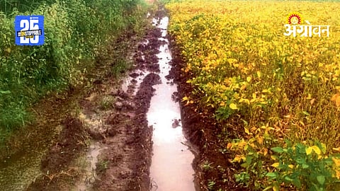 Agricultural Damage