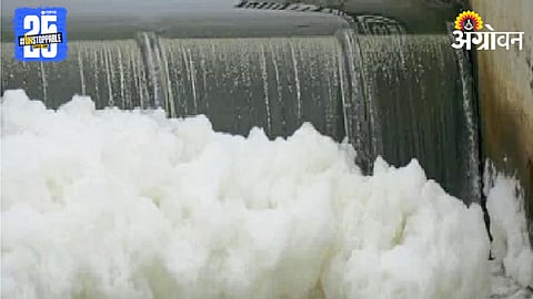 Water Phosphate Pollution 