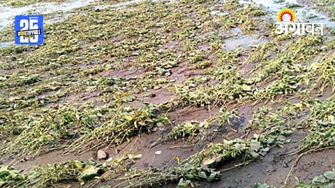 Kharif Crop Loss
