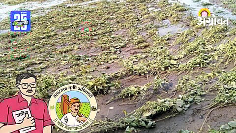 Flood Relief: पूरग्रस्त शेतकऱ्यांसाठी शिक्षक आणि सहाय्यक कृषी अधिकाऱ्यांचा मदतीचा हात