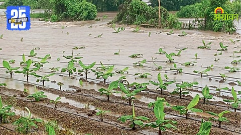 Agriculture Loss