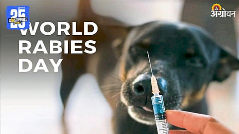 World Rabies Day