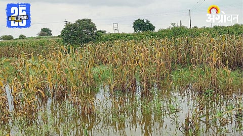Crop Damage