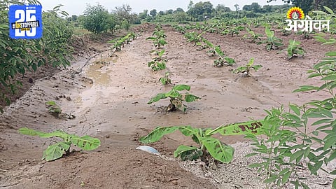 Crop Damage 