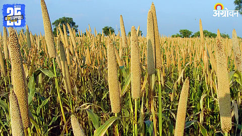 Millet Procurement Price