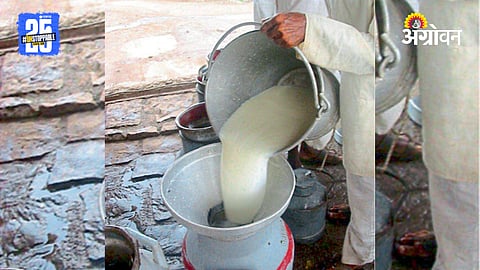 Katraj Dairy
