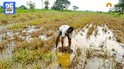 Crop Damage