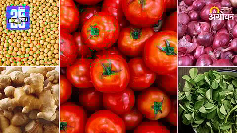 Agriculture Market Products