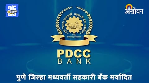 PDCC Bank