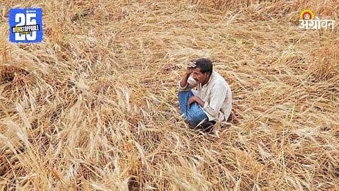 Indian Farmer