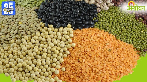 Pulses Production