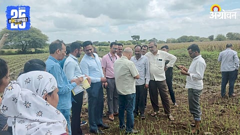Agriculture Inspection