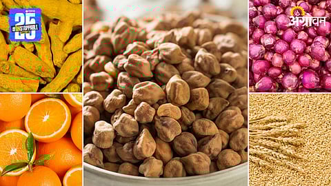 Agriculture Market Products