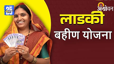 Ladki Bahin Yojana: लाडक्या बहिणींना यंदा दिवाळीत भाऊबीजेची भेट नाही? पडताळणी नंतरच मिळणार पुढचा हप्ता