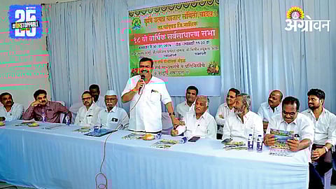 Chandwad APMC