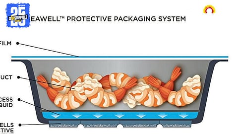 Smart Packaging 