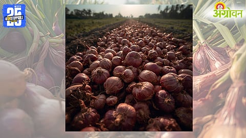 Onion Prices