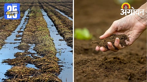 Post Flood Soil Preparation