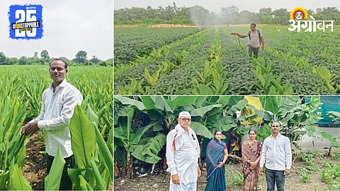 Agriculture Success Story