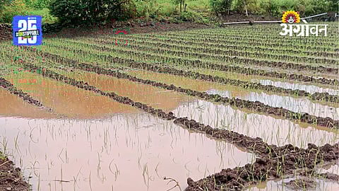 Heavy Rainfall