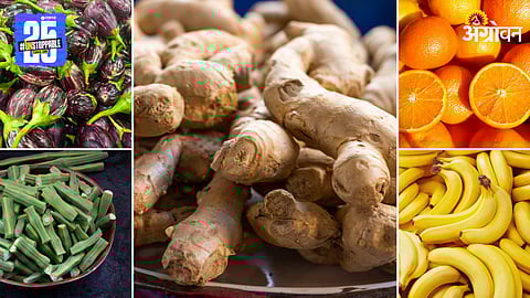 Agriculture Market Update
