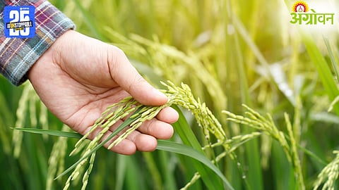 PM Dhan Dhaanya Krishi Yojana