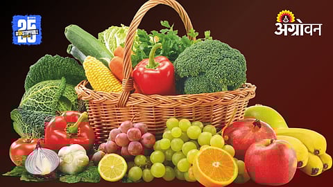Womens Health