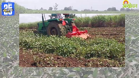 Soybean Crop Damage
