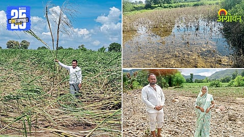 Agriculture Loss