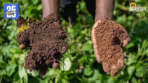 Soil
