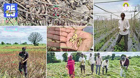 Agricultural Loss