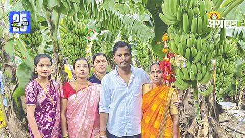 Banana Farming