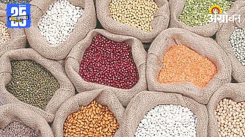 Pulses 