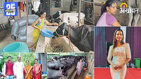 Dairy Farming 